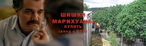 прущая мука Гусиноозёрск